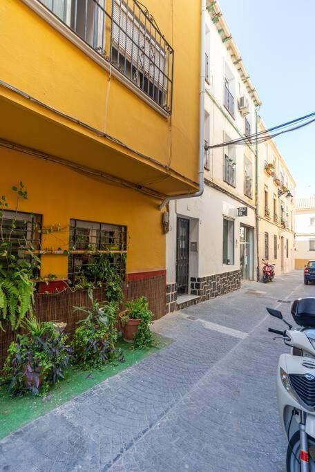 3 Bedroom Flat In Historic Centre Málaga Exterior foto